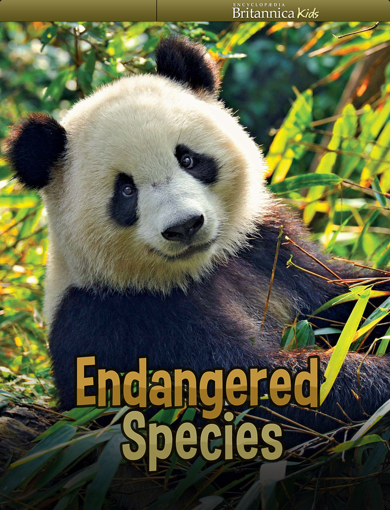 define endangered species essay